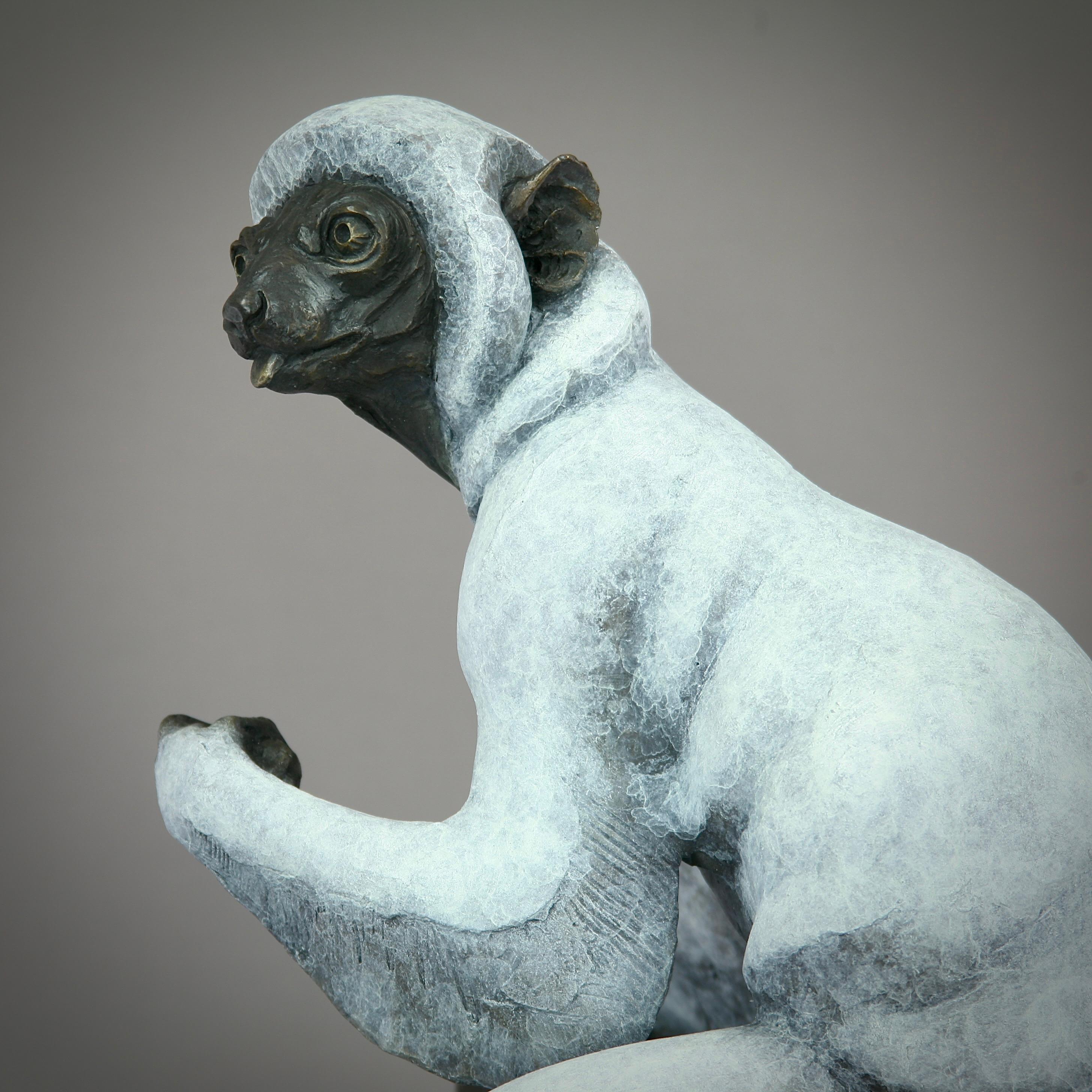 Sifaka Lemur -original modern wildlife bronze sculpture - contemporary Art For Sale 1