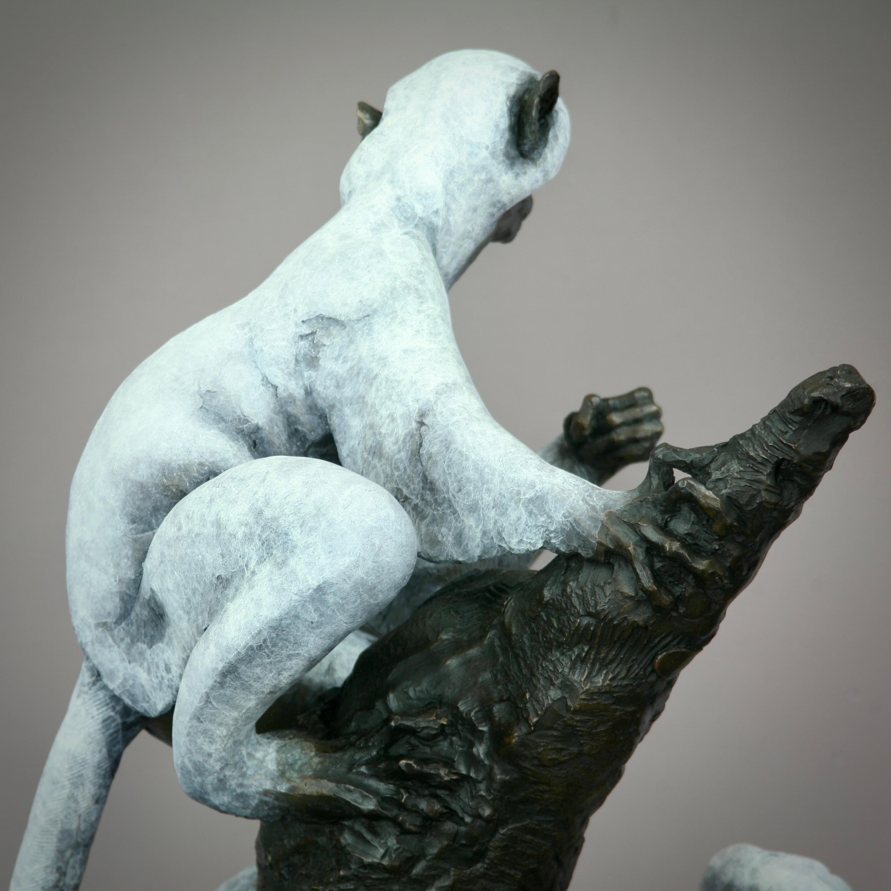 Sifaka Lemur -original modern wildlife bronze sculpture - contemporary Art For Sale 2
