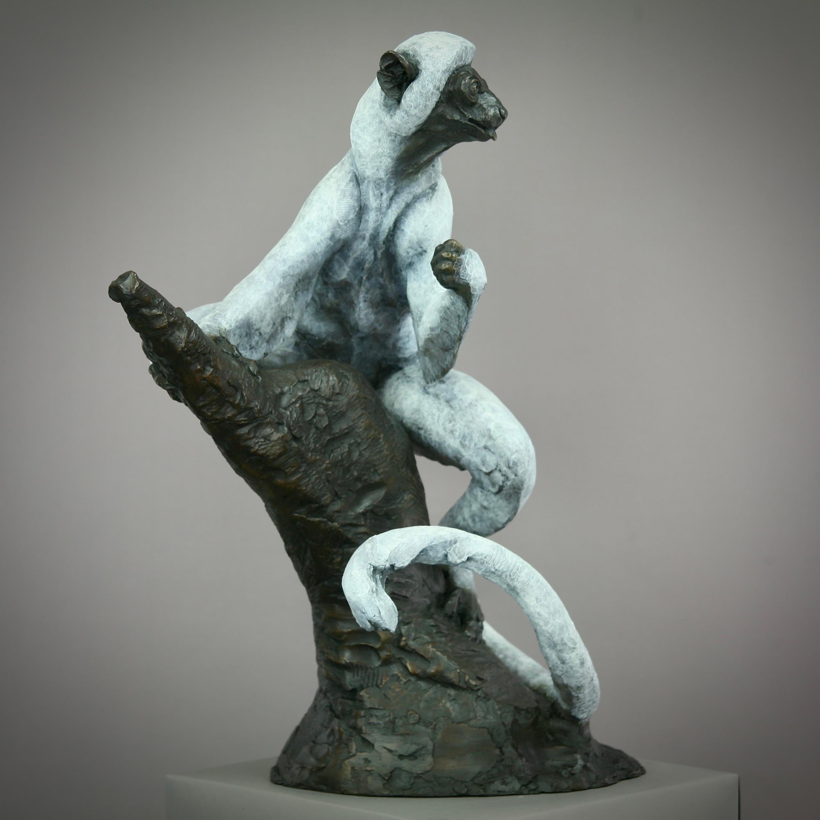 Sifaka Lemur -original modern wildlife bronze sculpture - contemporary Art For Sale 3