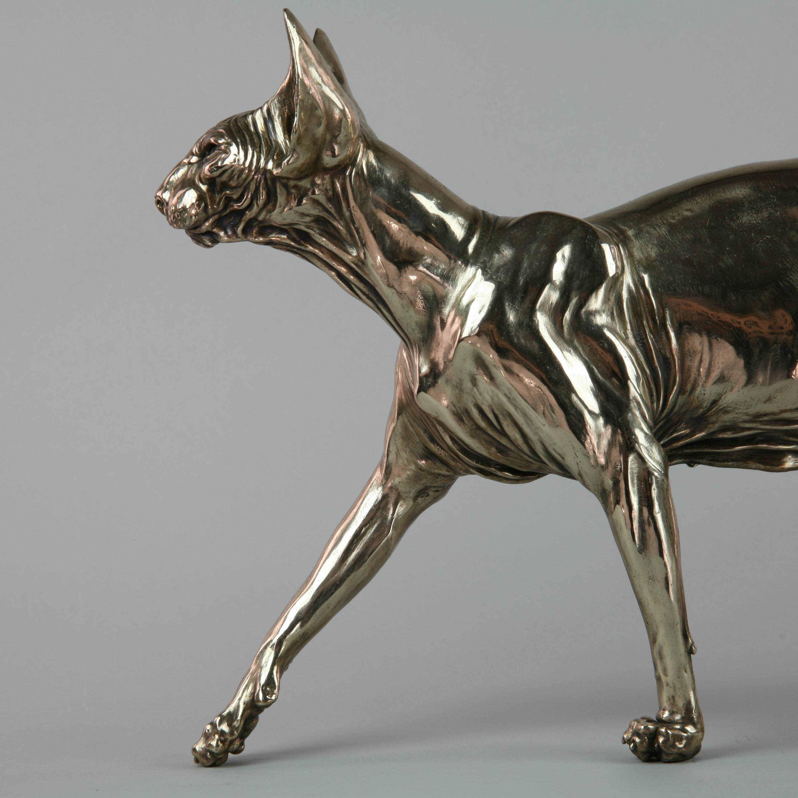 Sphynx Cat II - sculpture wildlife animal limited edition bronze modern marine - Gold Figurative Sculpture by Andrzej Szymczyk