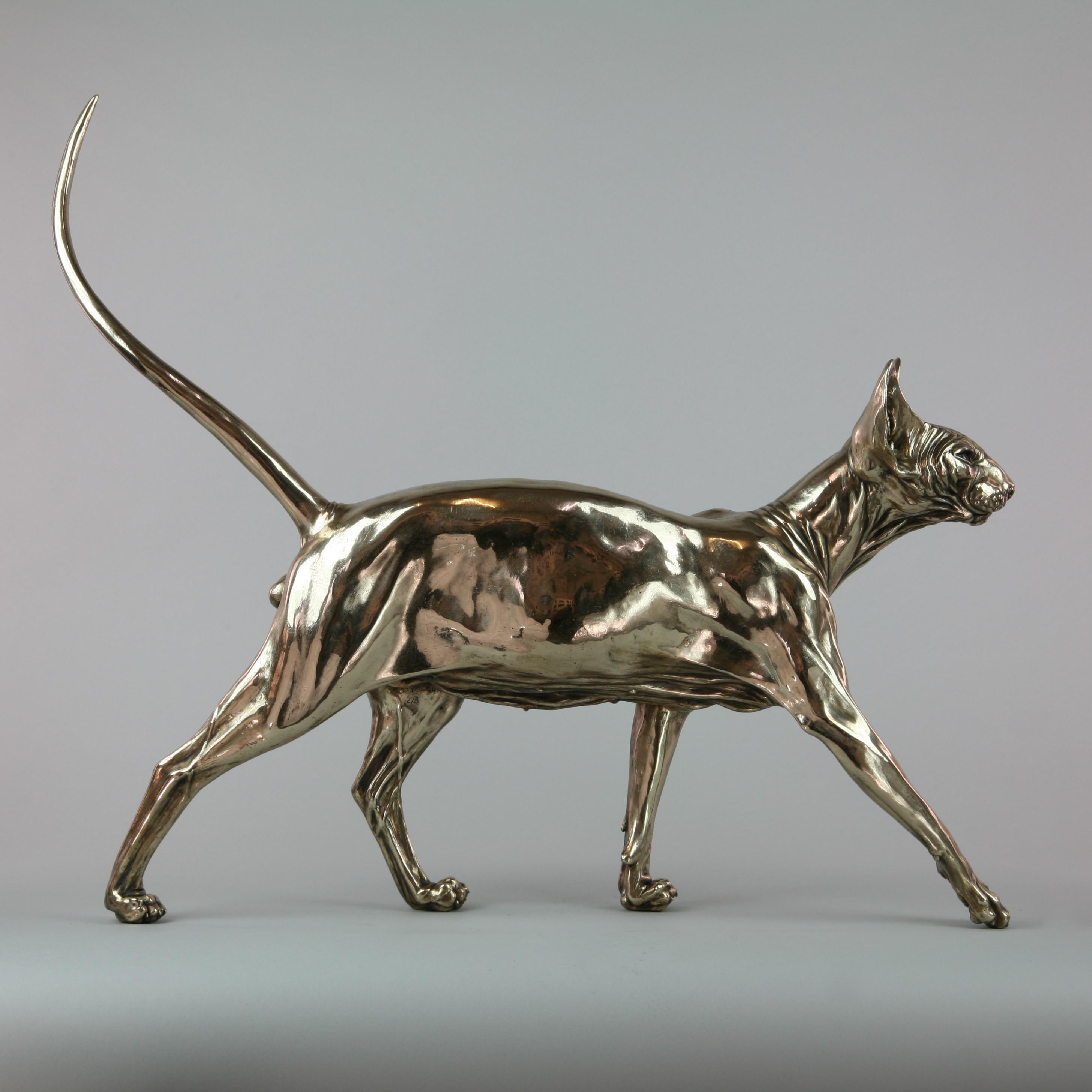 Andrzej Szymczyk Figurative Sculpture - Sphynx Cat II - sculpture wildlife animal limited edition bronze modern marine