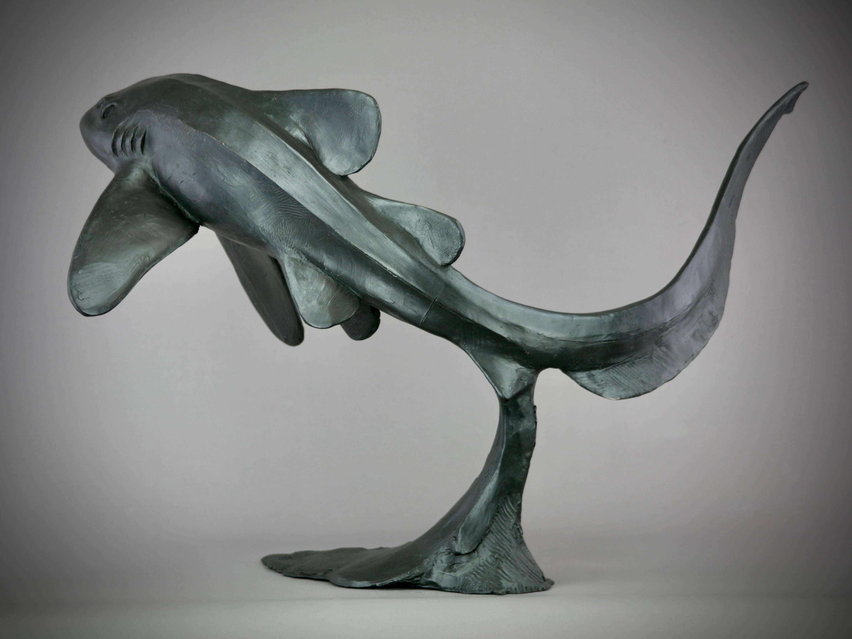 Zebra Shark -original modern bronze wildlife marine sculpture - contemporary Art - Sculpture by Andrzej Szymczyk