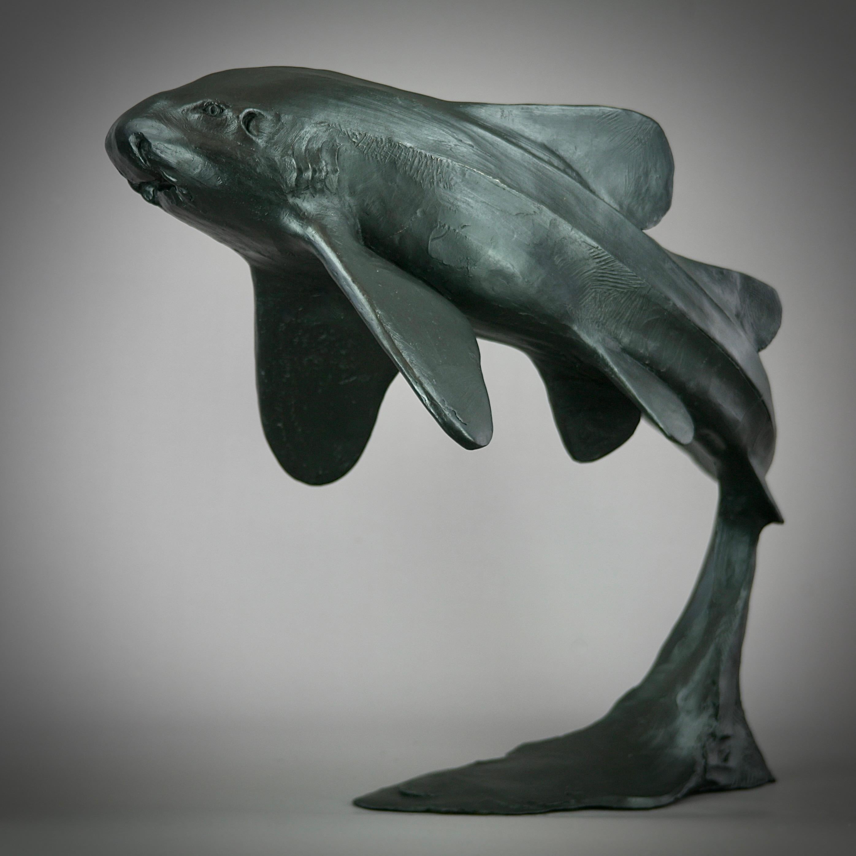 Zebra Shark - sculpture marine originale en bronze moderne - Contemporary Art - Réalisme Sculpture par Andrzej Szymczyk