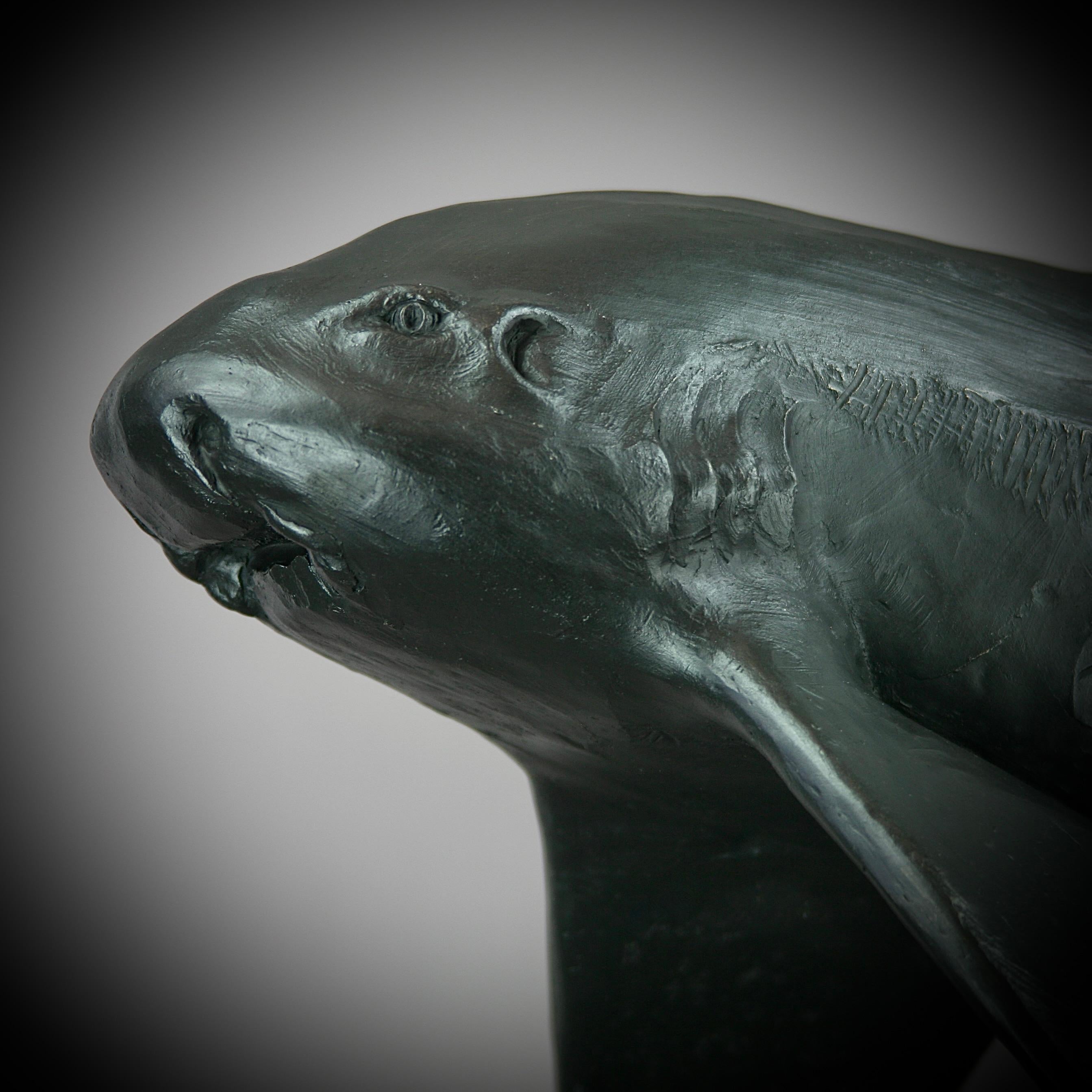 Zebra Shark - sculpture marine originale en bronze moderne - Contemporary Art - Or Figurative Sculpture par Andrzej Szymczyk