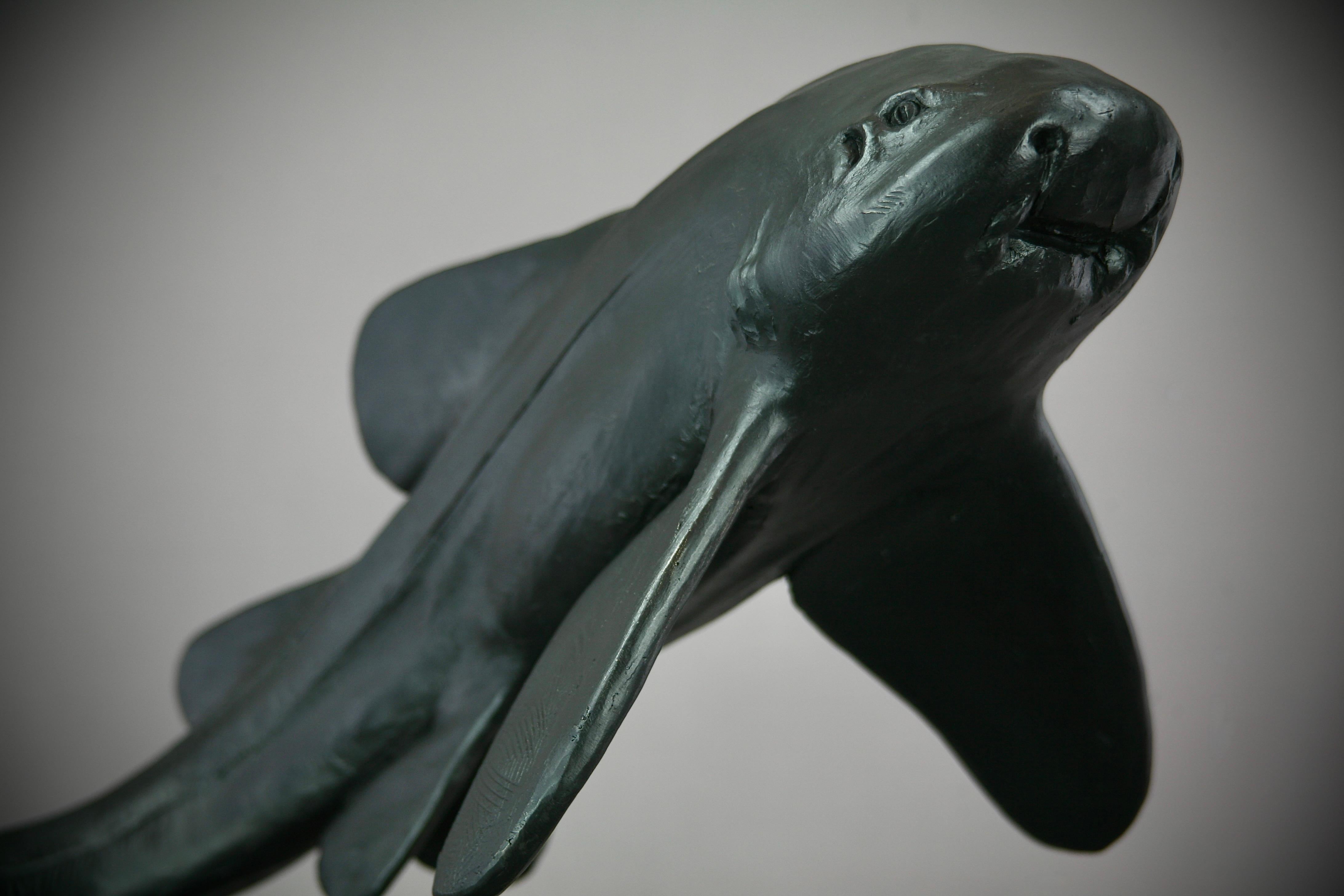 Zebra Shark -original modern bronze wildlife marine sculpture - contemporary Art For Sale 1