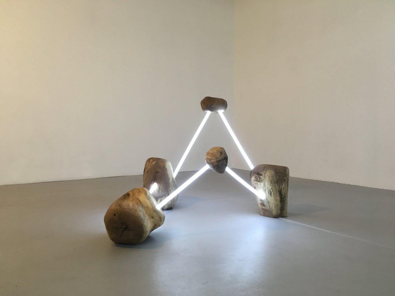 STELLAR DIASPORA - Light Emitting Sculpture w/ Carved Walnut and LED Tubes For Sale 1