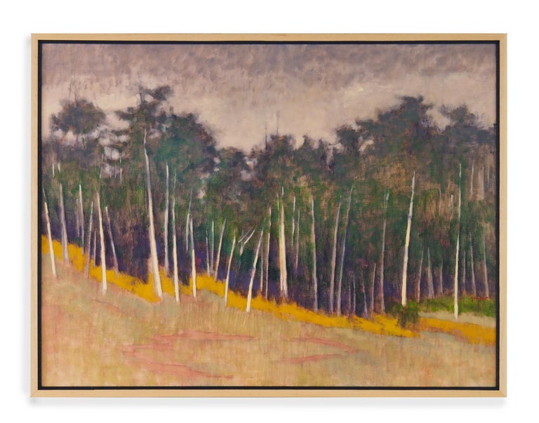 Andy Taylor Park Aspen Forest Purple Hues Golden Fields For