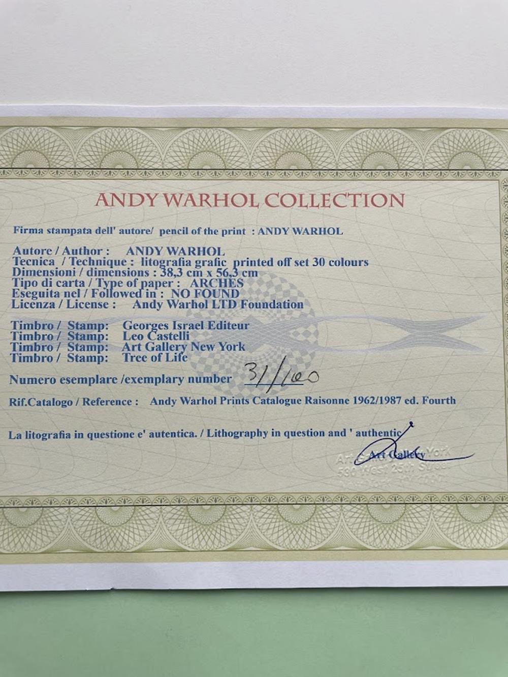 Andy Warhol Apple Macintosh Lithography. 31/100 4