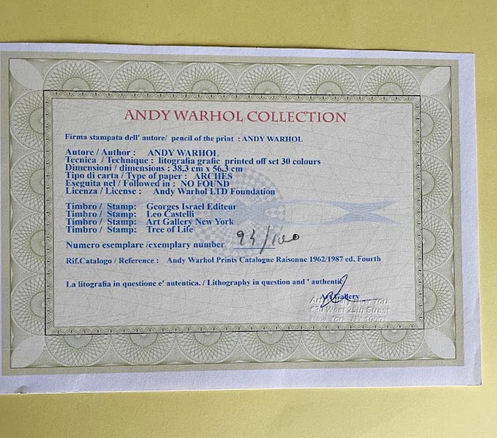 Carta Litografia di Andy Warhol Barbie da Leo Castelli Gallery in vendita