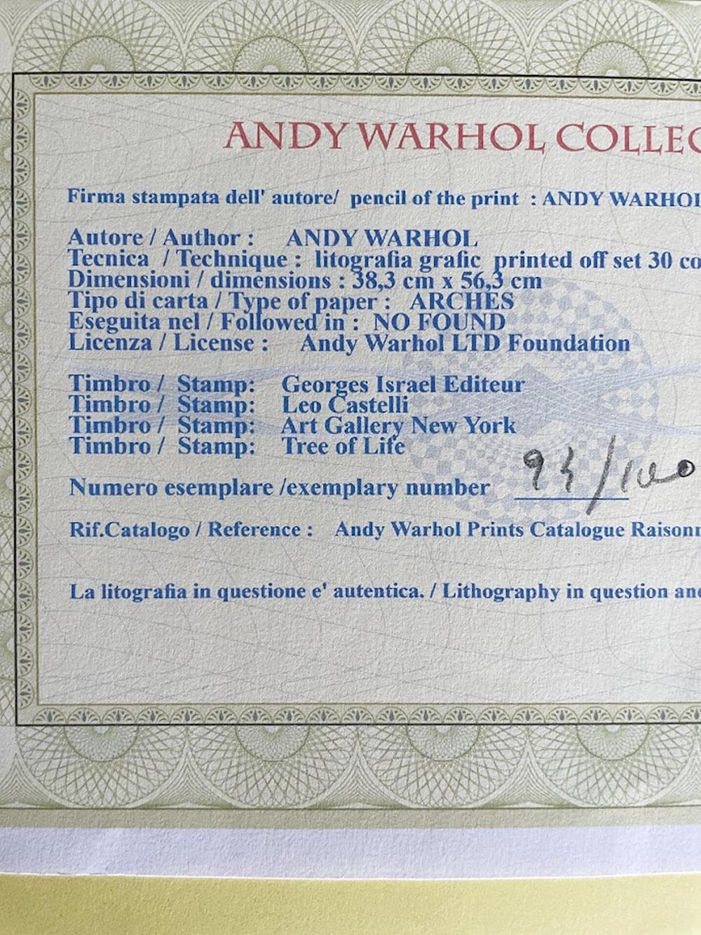 Litografia di Andy Warhol Barbie da Leo Castelli Gallery in vendita 1