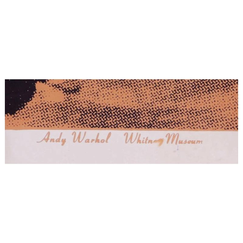 American Andy Warhol, 