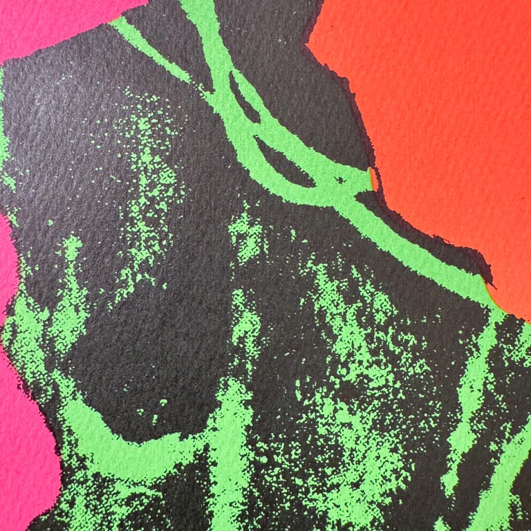 Lithographie signée Andy Warhol - chat - certificat Leo