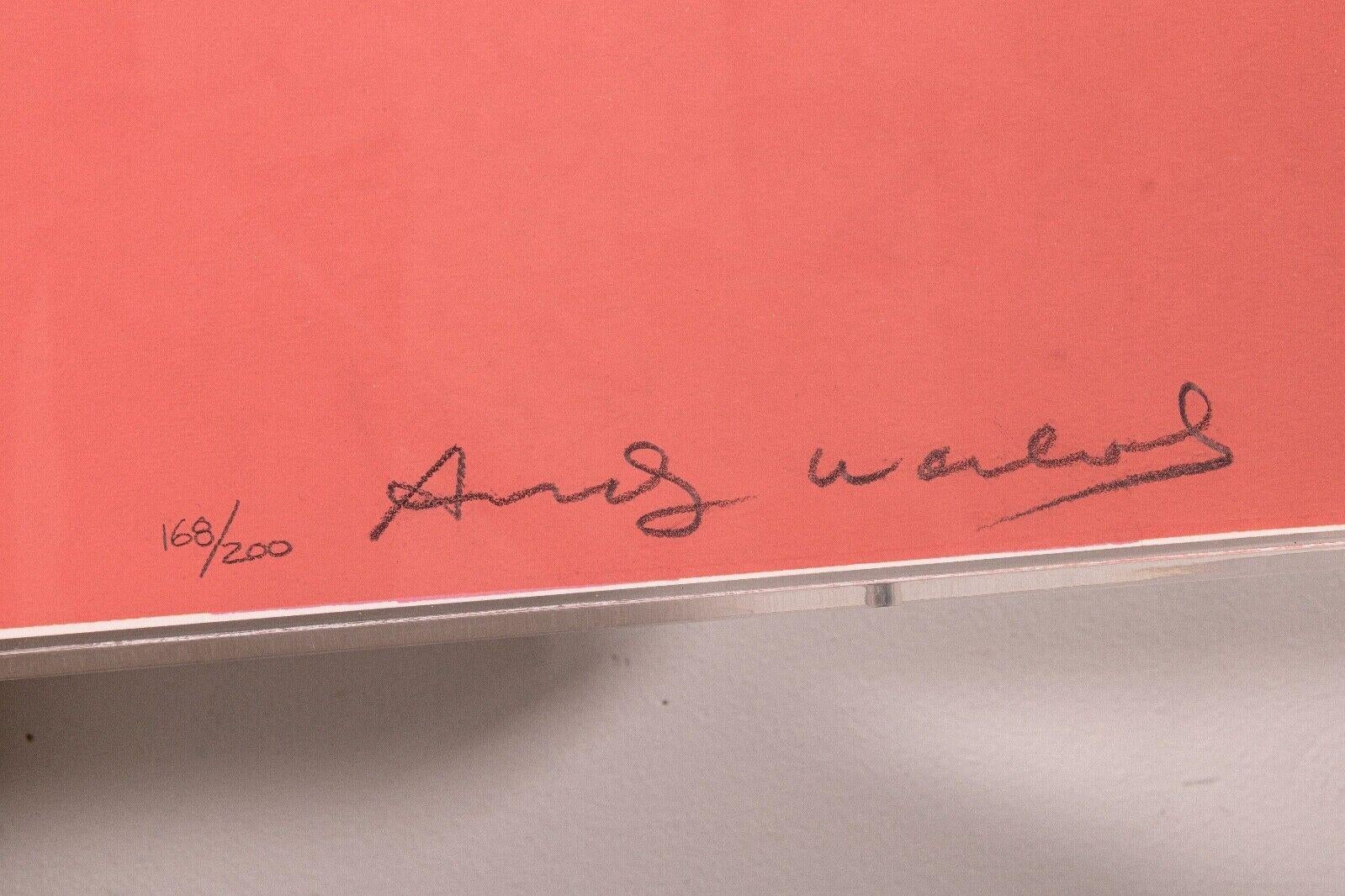 Andy Warhol Getrude Stein Signierter Pop Art Siebdruck 1980 gerahmt 168/200 im Zustand „Gut“ im Angebot in Keego Harbor, MI