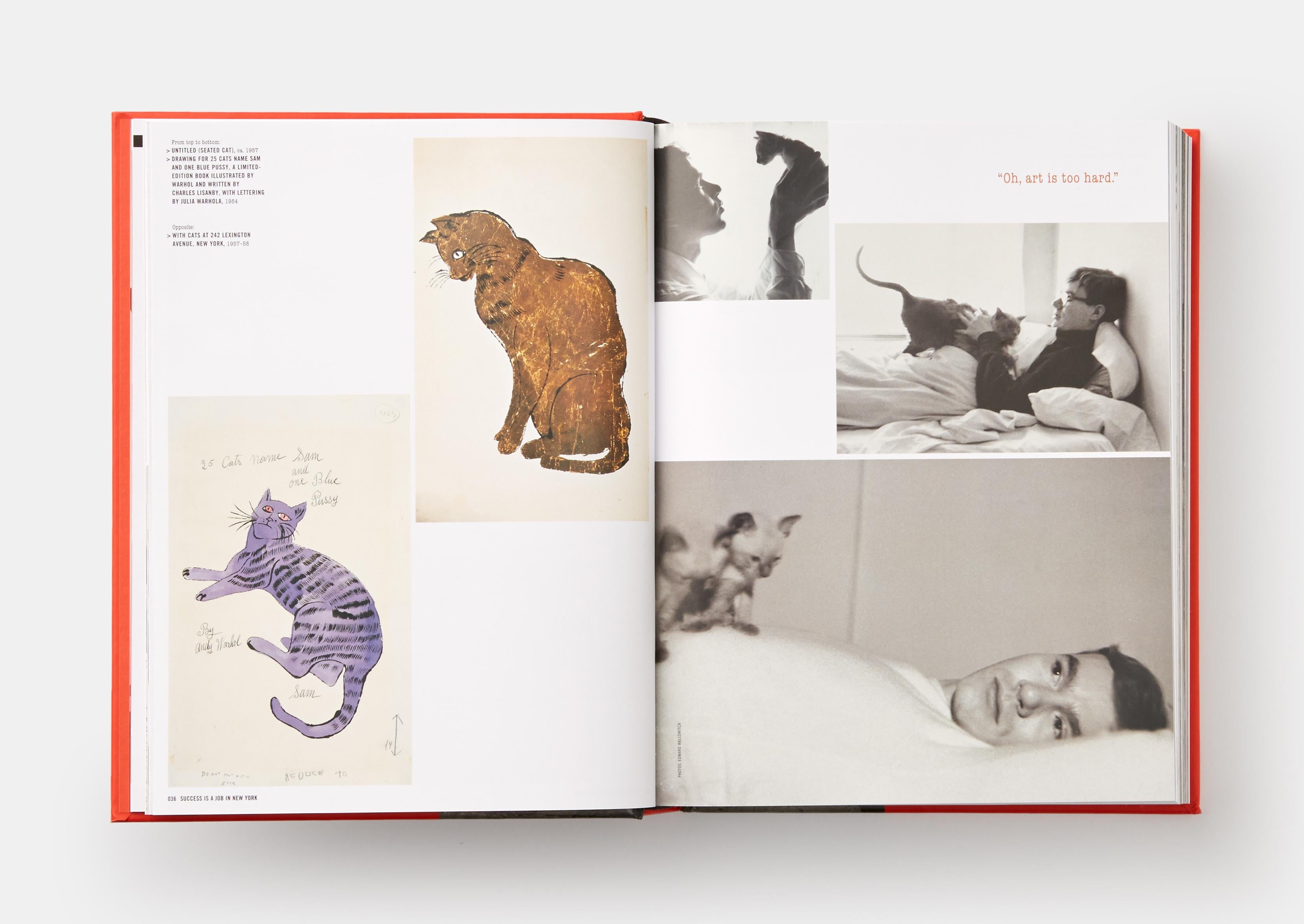 Die meistverkaufte visuelle Biografie eines der innovativsten und einflussreichsten Künstler des 20 

Andy Warhol 