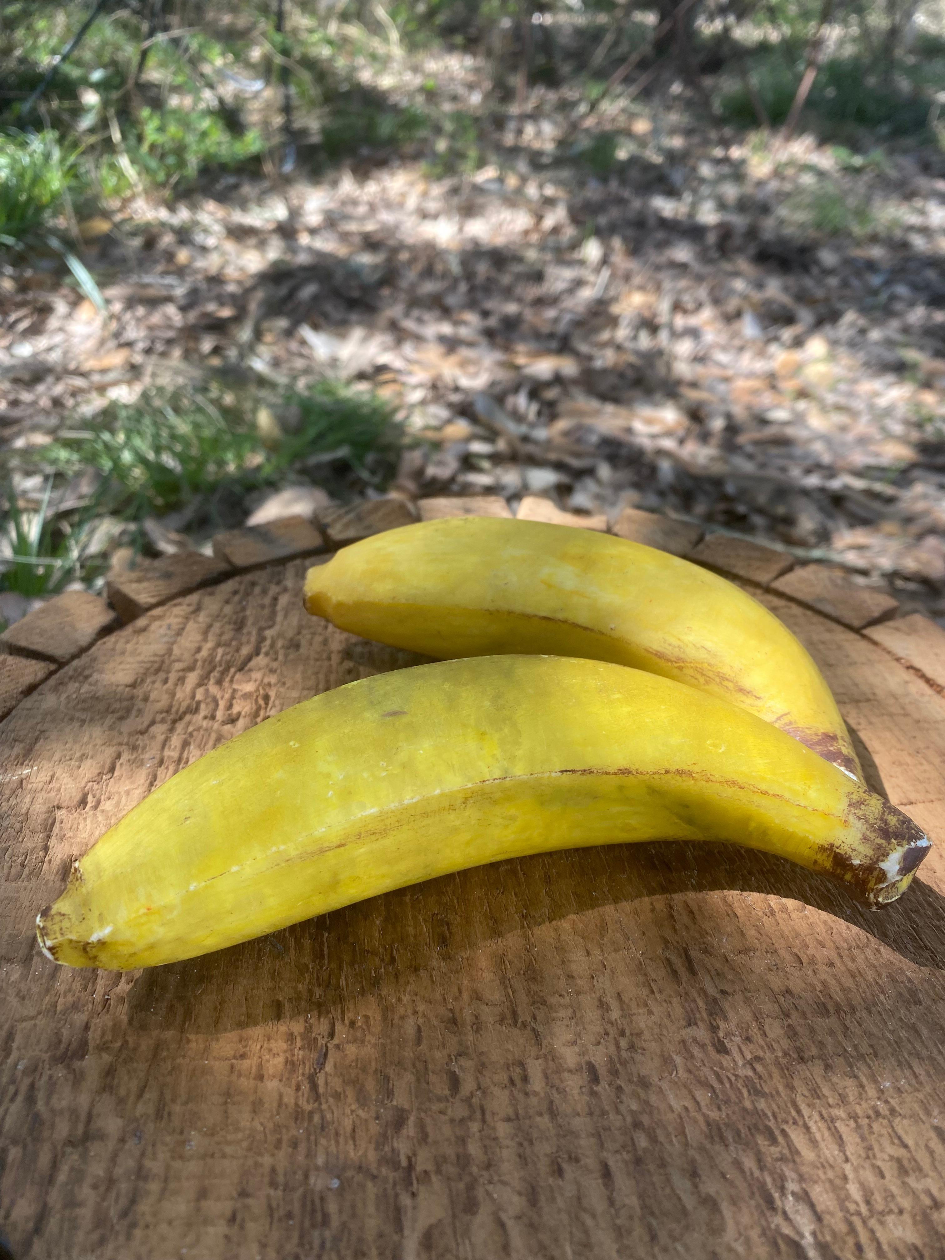 Set di 2 banane in alabastro intagliate ispirate a Andy Warhol in vendita 7