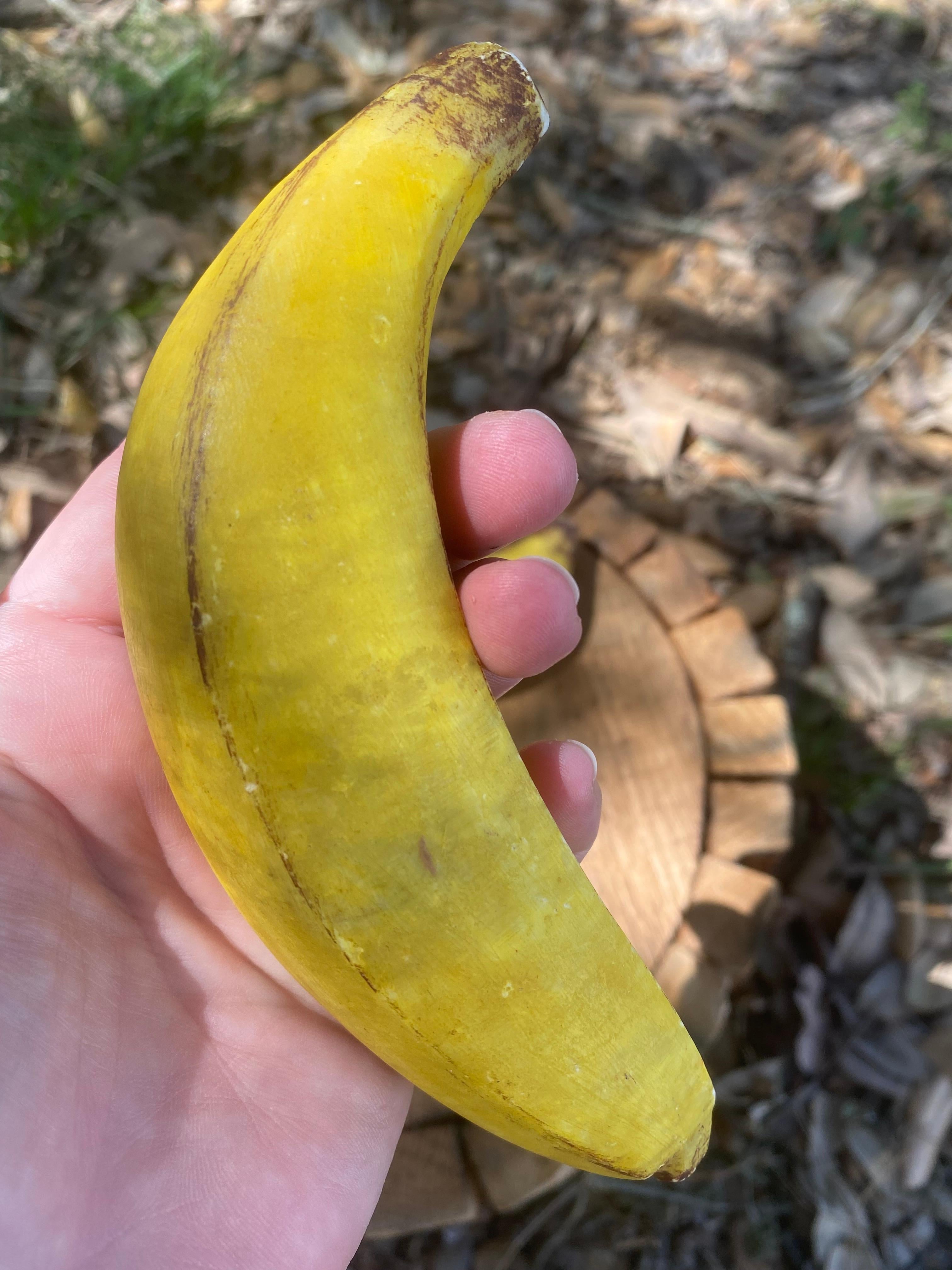 Dall'inizio del XX secolo, e anche prima, l'immagine dell'umile banana ha sempre catturato il nostro interesse e la nostra attenzione. Da Claes Oldenburg a Any Warhol e, più recentemente, Maurizio Cattelan, il mondo dell'arte e i collezionisti