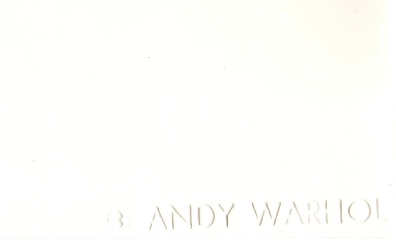 Andy e Sean McKeon - Photograph di Andy Warhol