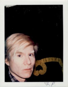 Used Andy Warhol