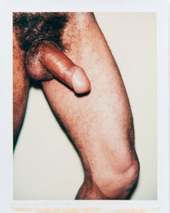Polaroid Photo from the 'Sex Parts and Torsos' Series