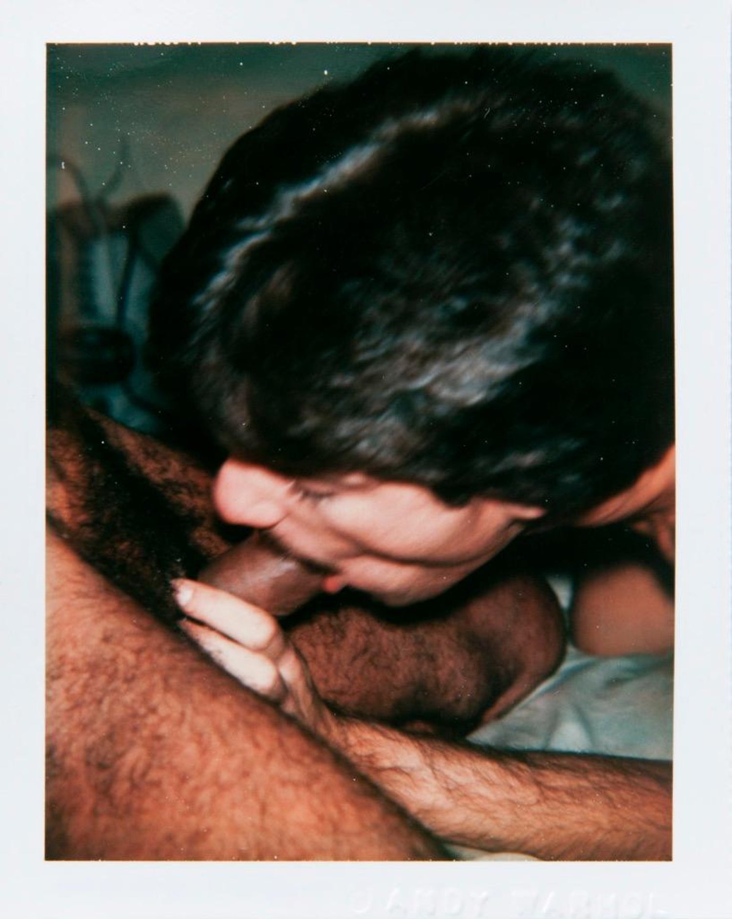 Andy Warhol - Polaroid Photograph from the 'Sex Parts and Torsos' Series  For Sale at 1stDibs