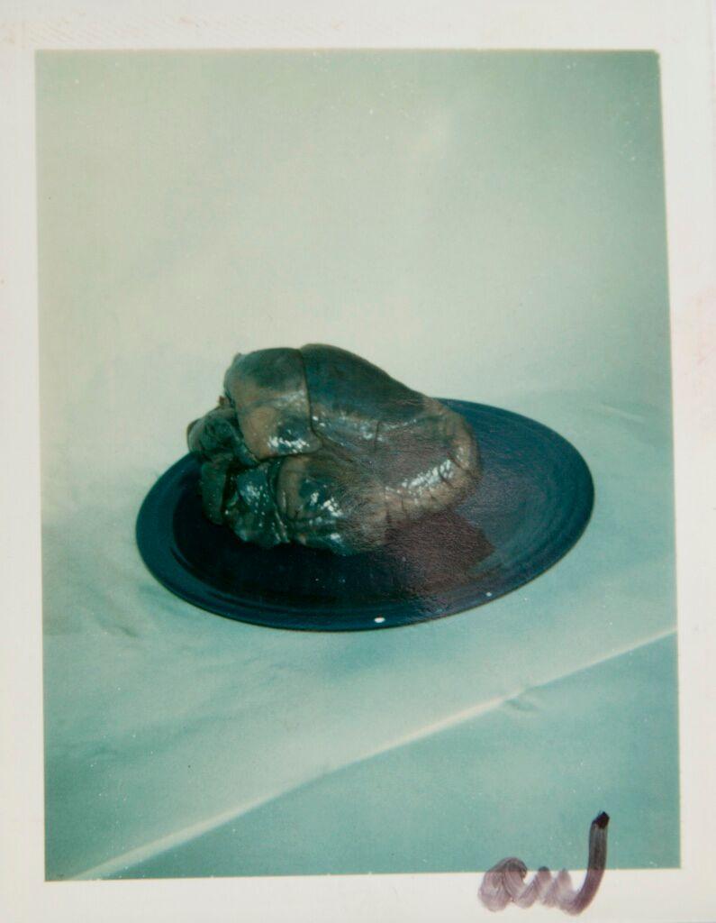 Polaroid Photograph of a Heart on a Plate