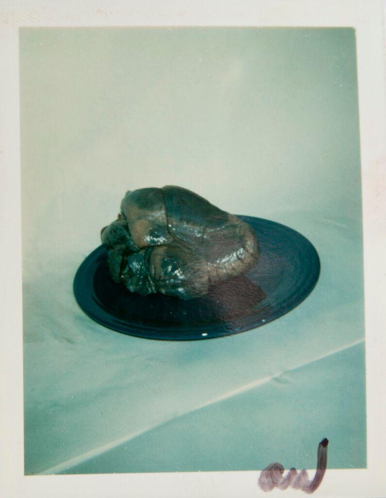Polaroid de un corazón en un plato