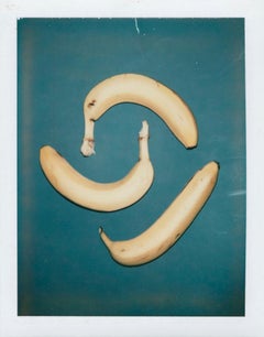 Andy Warhol, Polaroid Photograph of Bananas, 1978