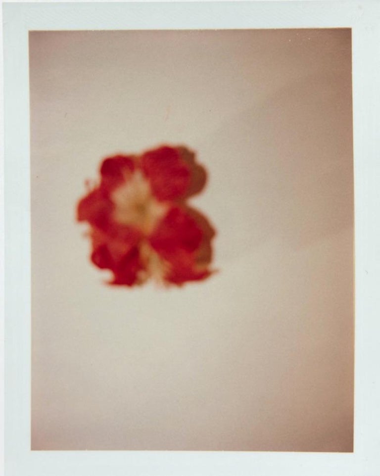 Andy Warhol Set Of Three Polaroid Photograph Of Flowers 1982