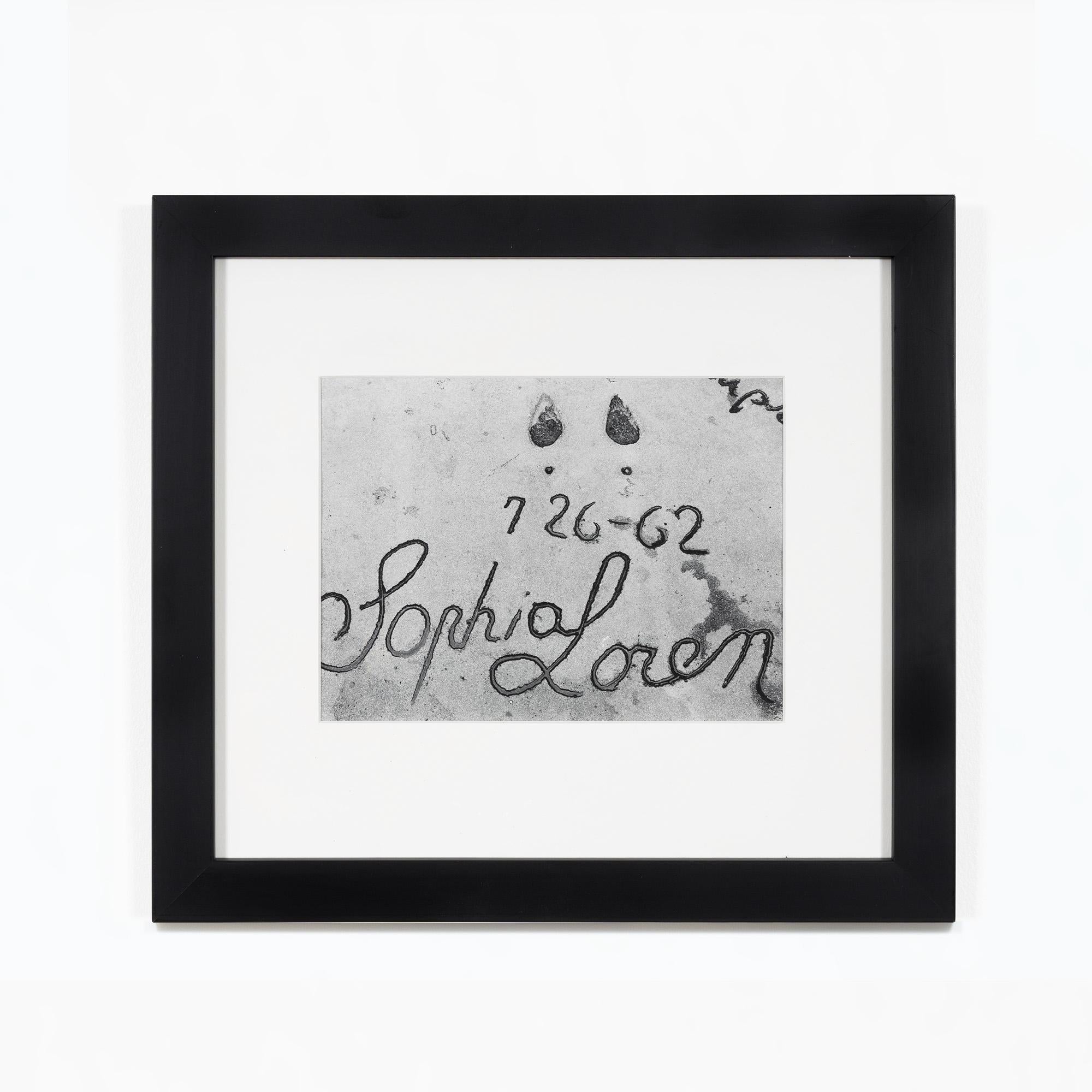 Dal 1976 fino alla sua morte nel 1987, Andy Warhol era raramente senza macchina fotografica. La fotografia era fondamentale sia per la sua pratica artistica che per il suo impegno con il mondo circostante. Pur essendosi dedicato a lungo alle