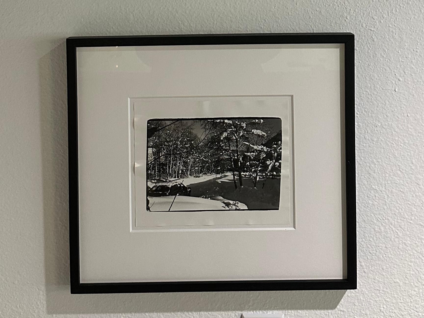 Aspen Colorado Landscape - Photograph Pop Art di Andy Warhol