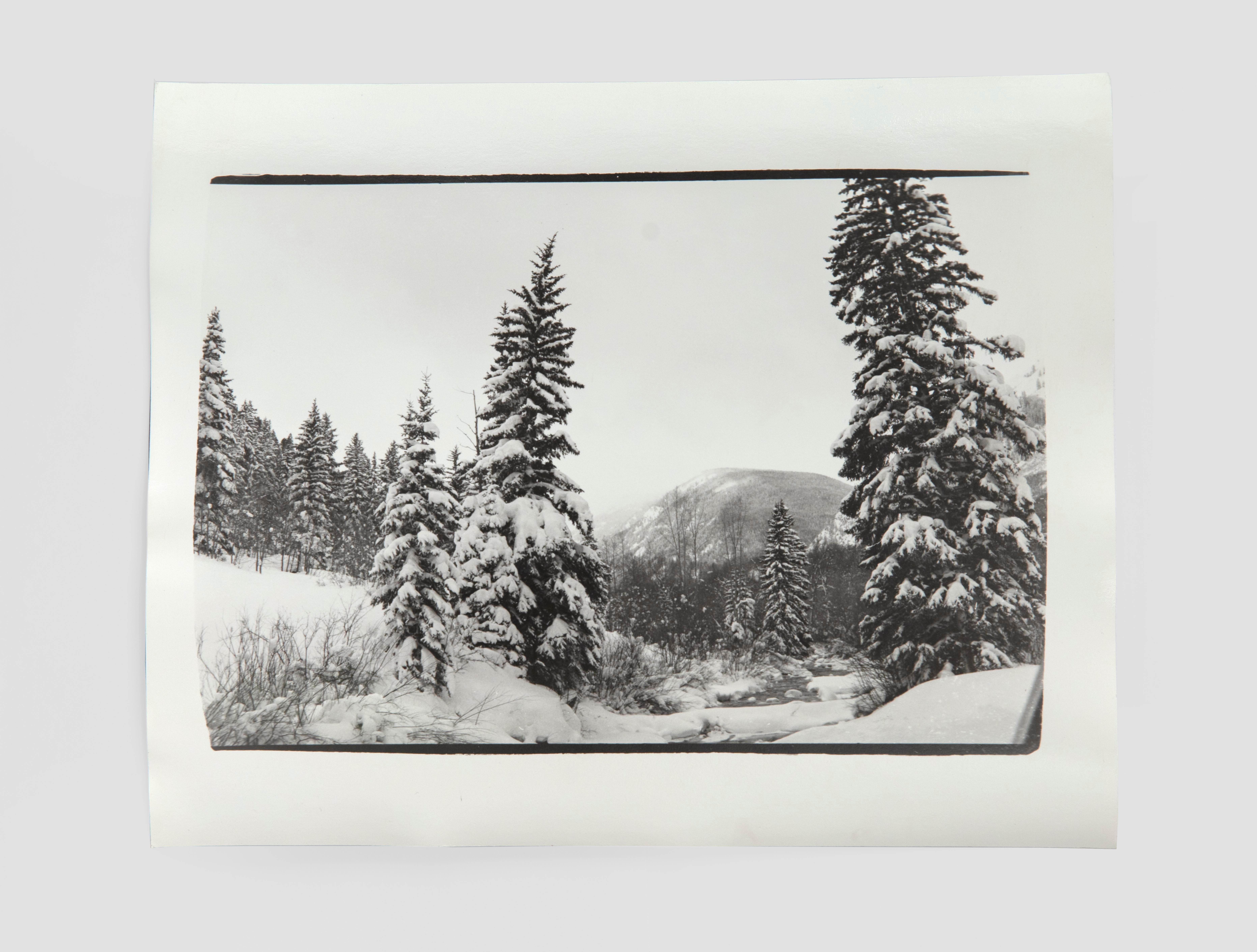 Andy Warhol - Maroon Bells, Aspen For Sale at 1stDibs