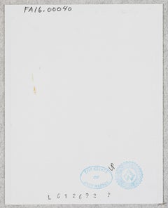 Color Polaroid 'Sex Parts and Torsos' by Andy Warhol