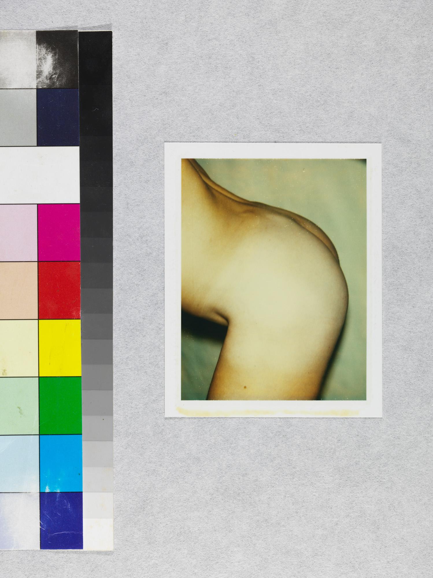Color Polaroid 'Sex Parts and Torsos' by Andy Warhol 2