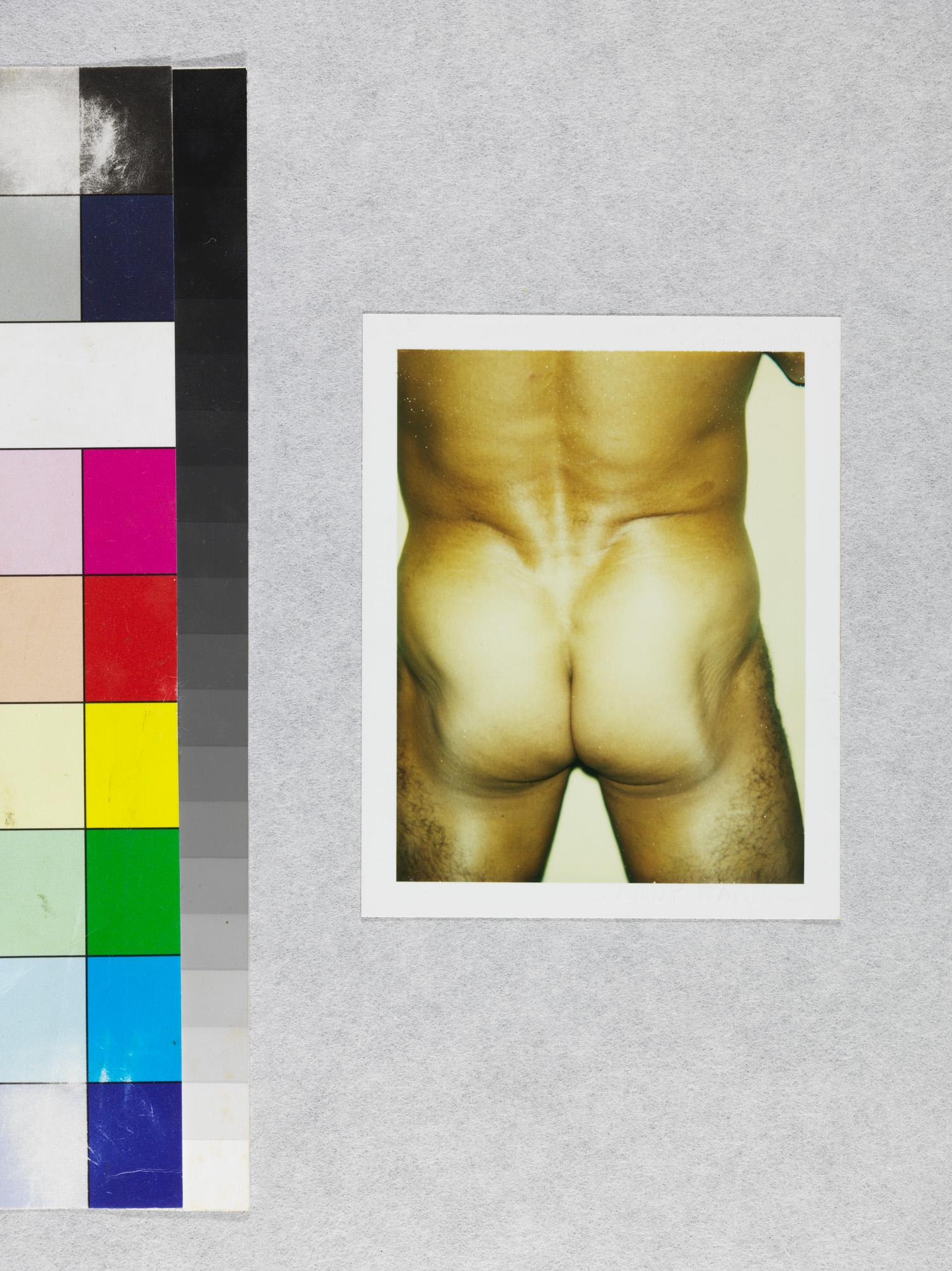 Farbfarbener Polaroid „Sexuelle Teile und Torsos“ von Andy Warhol im Angebot 2