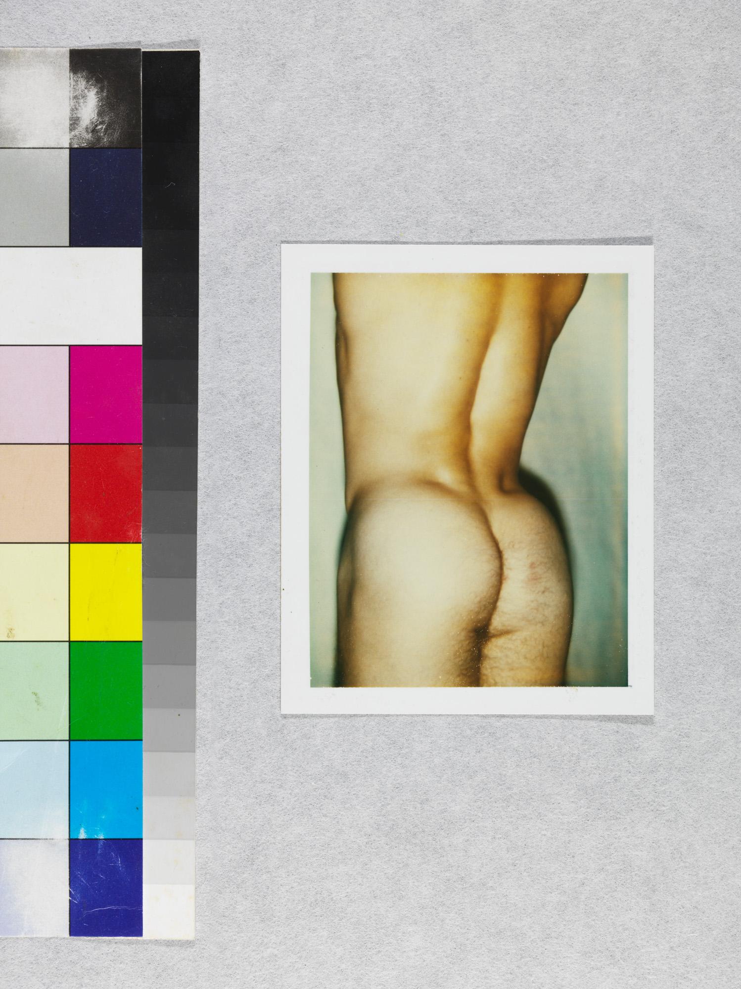 Farbfarbener Polaroid „Sexuelle Teile und Torsos“ von Andy Warhol im Angebot 2