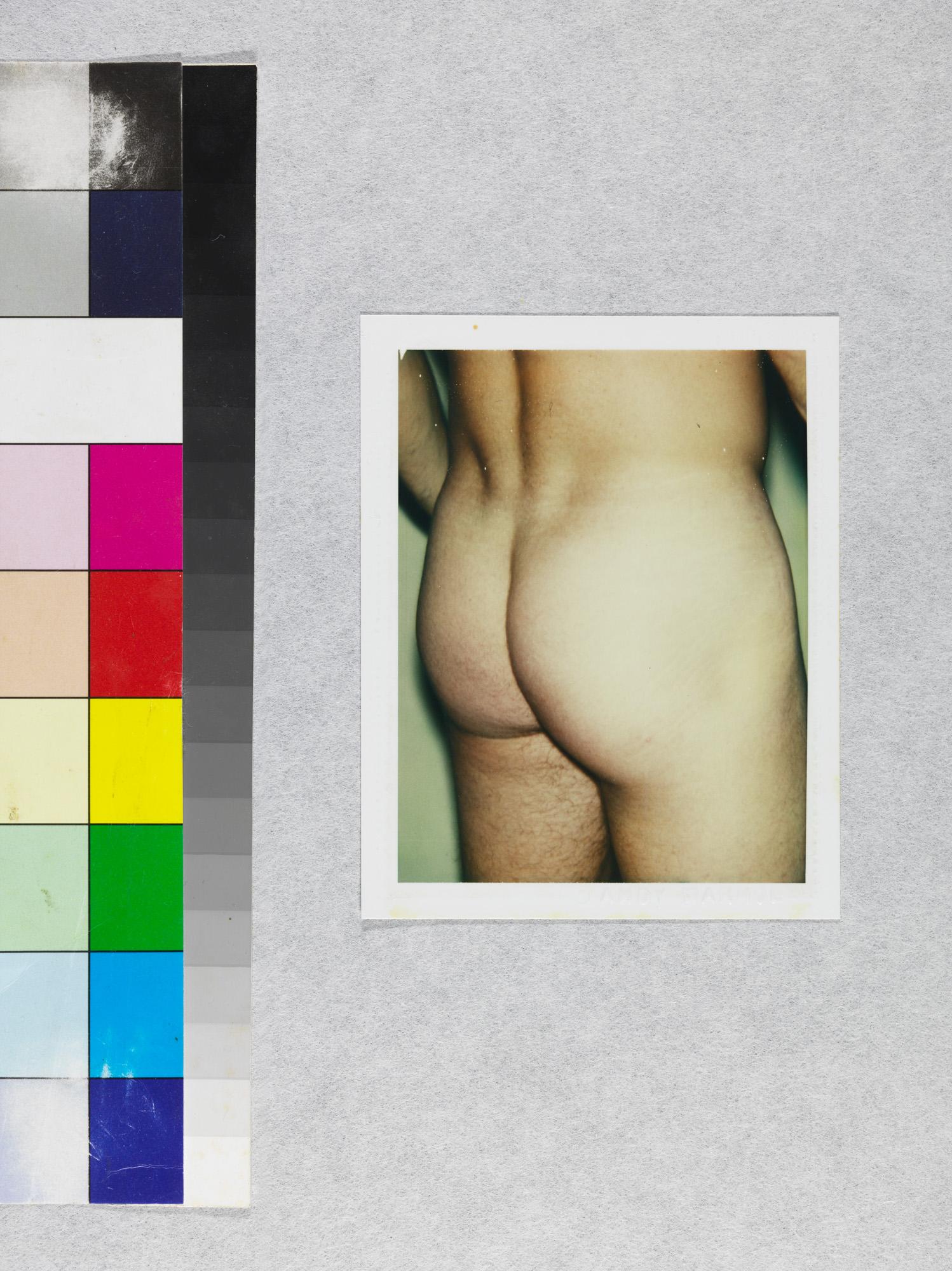 Color Polaroid 'Sex Parts and Torsos' by Andy Warhol For Sale 2