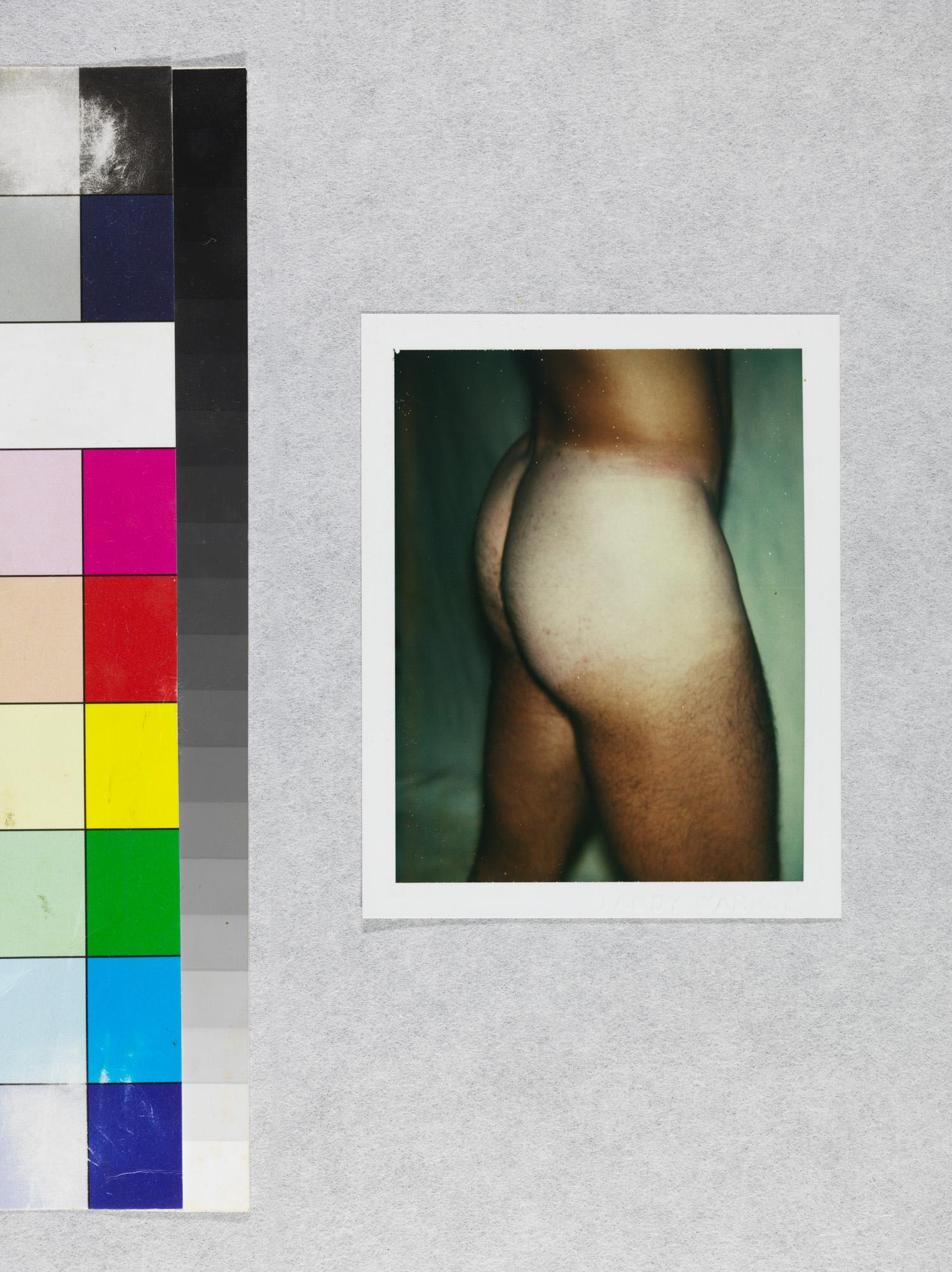 Color Polaroid ‘Sex Parts and Torsos’ by Andy Warhol For Sale 2