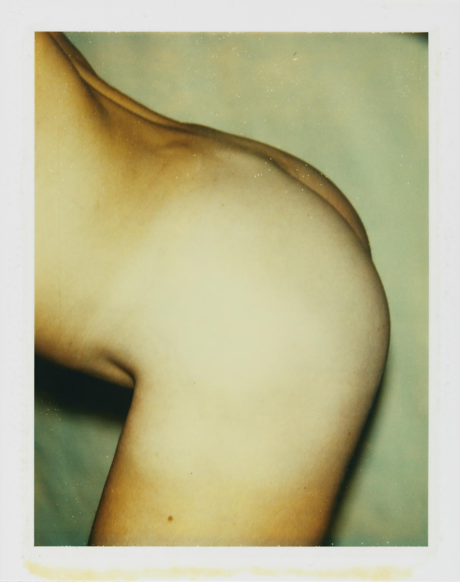 Farbfarbener Polaroid „Sexuelle Teile und Torsos“ von Andy Warhol