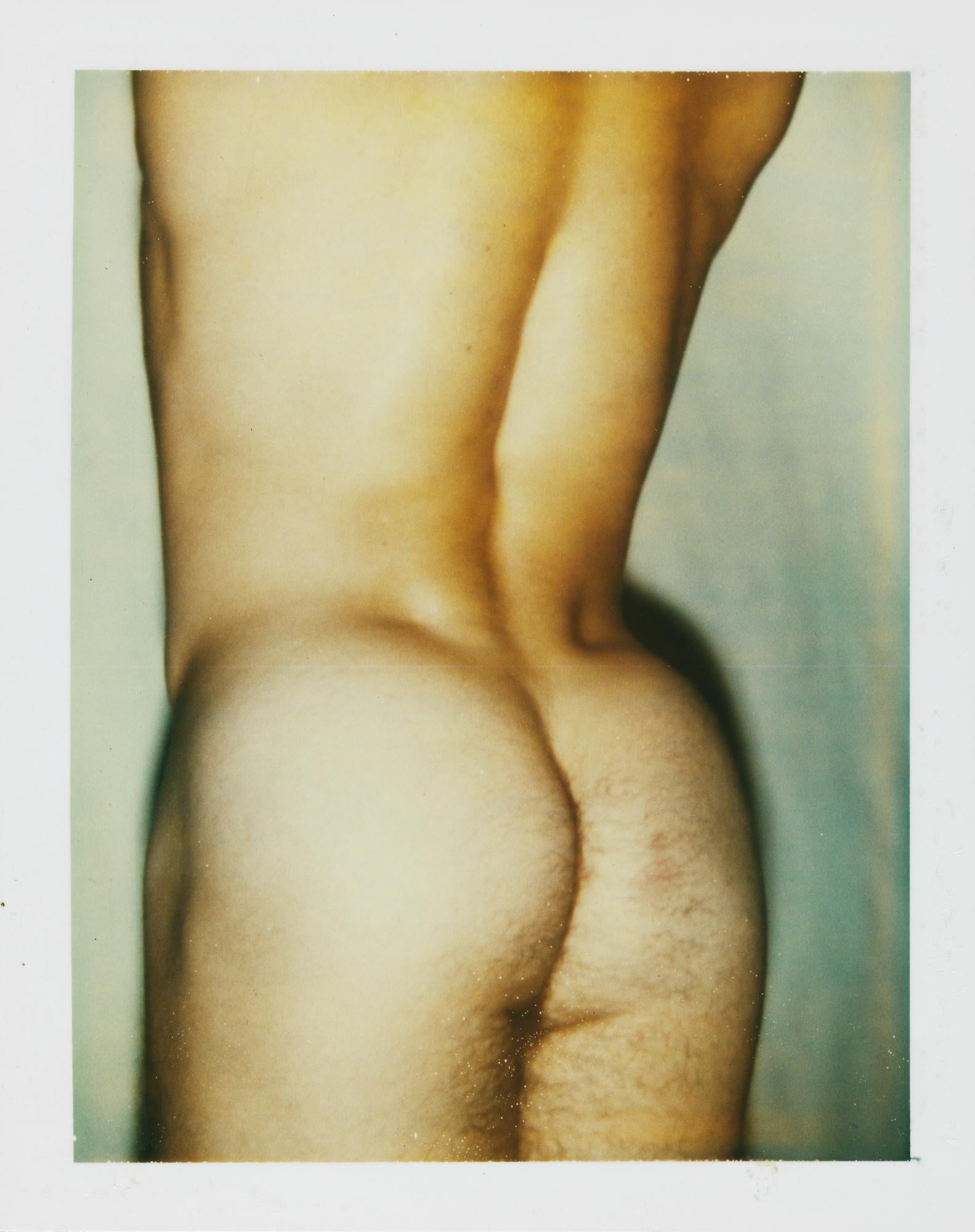 Farbfarbener Polaroid „Sexuelle Teile und Torsos“ von Andy Warhol