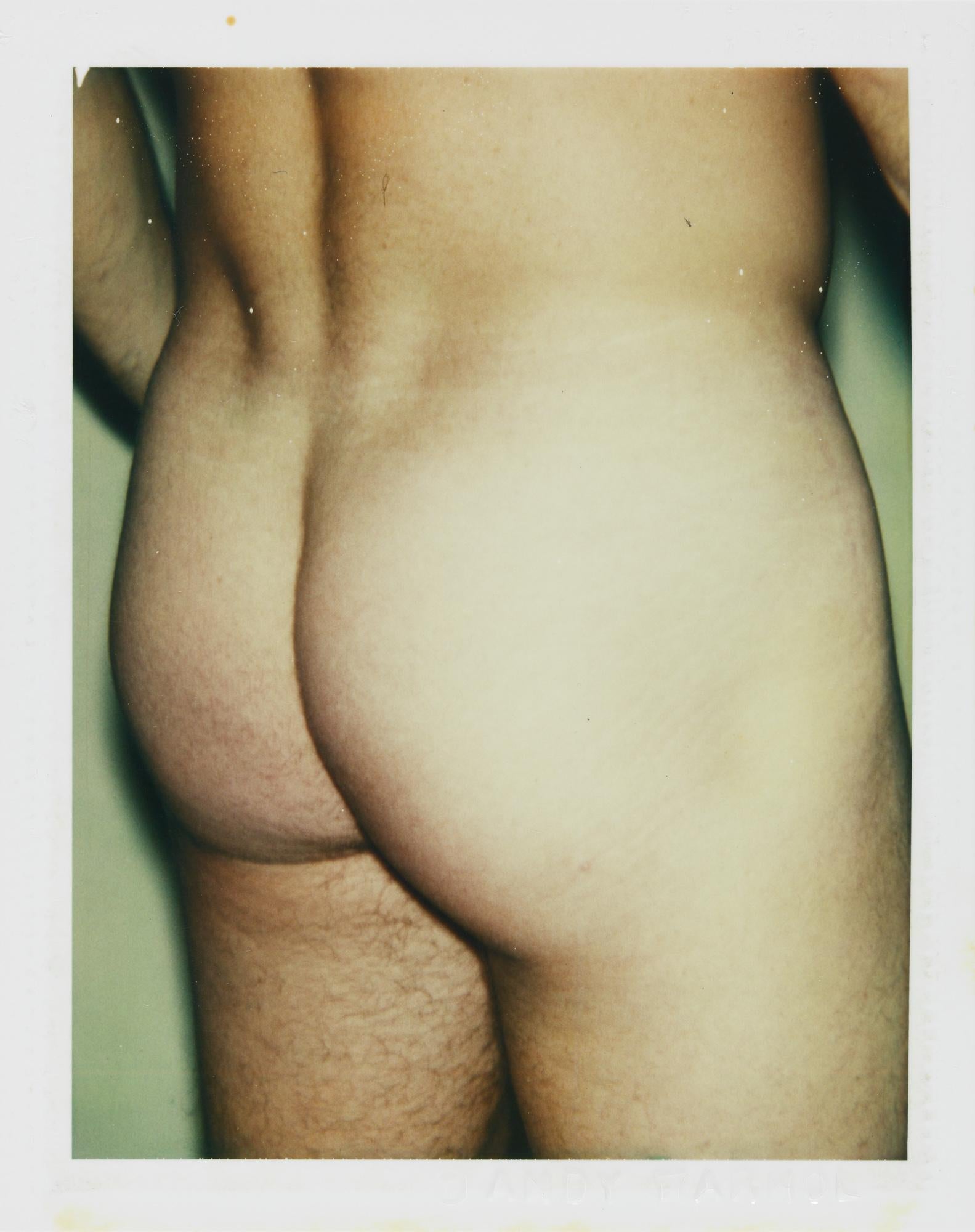 Farbfarbener Polaroid „Sexuelle Teile und Torsos“ von Andy Warhol