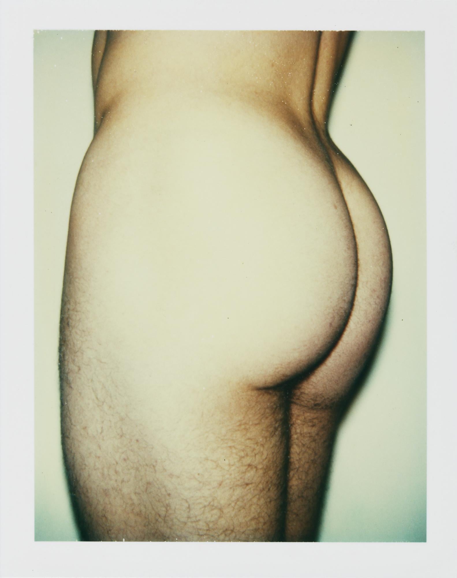 Farbfarbener Polaroid „Sexuelle Teile und Torsos“ von Andy Warhol