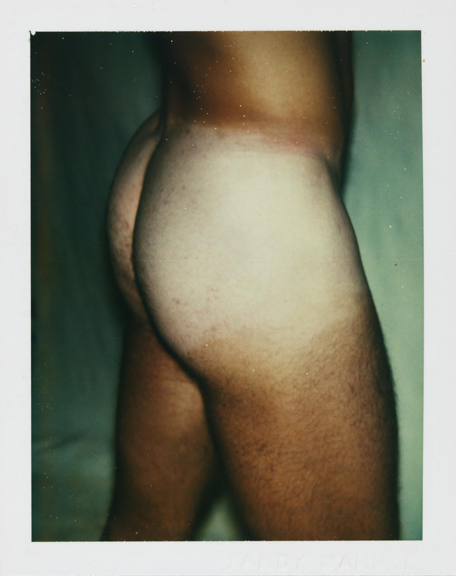 Color Polaroid ‘Sex Parts and Torsos’ by Andy Warhol