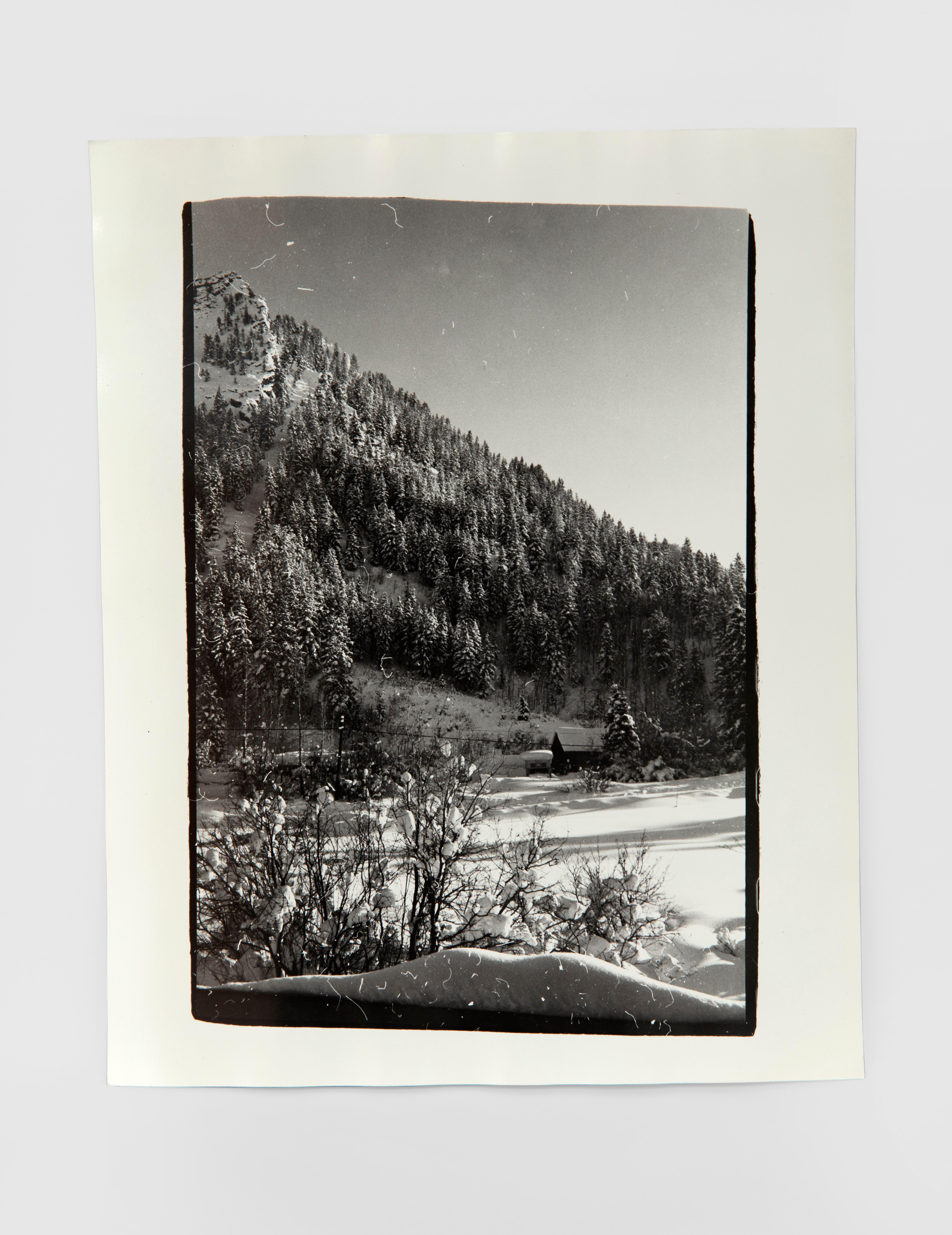 Andy Warhol Landscape Photograph - Aspen Colorado Landscape