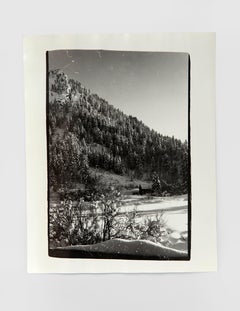 Vintage Aspen Colorado Landscape