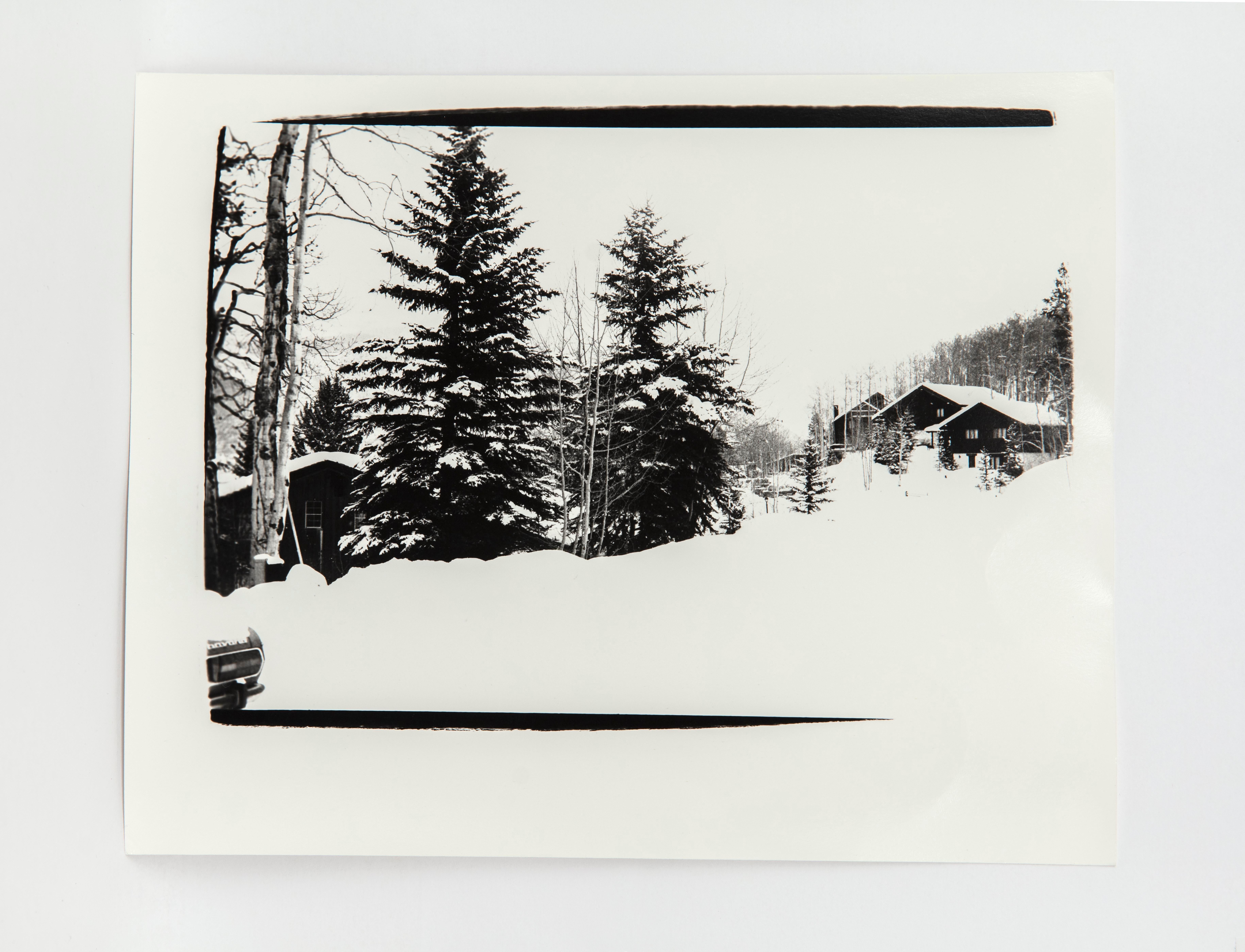 Landscape Photograph Andy Warhol - Paysage du Colorado de Aspen