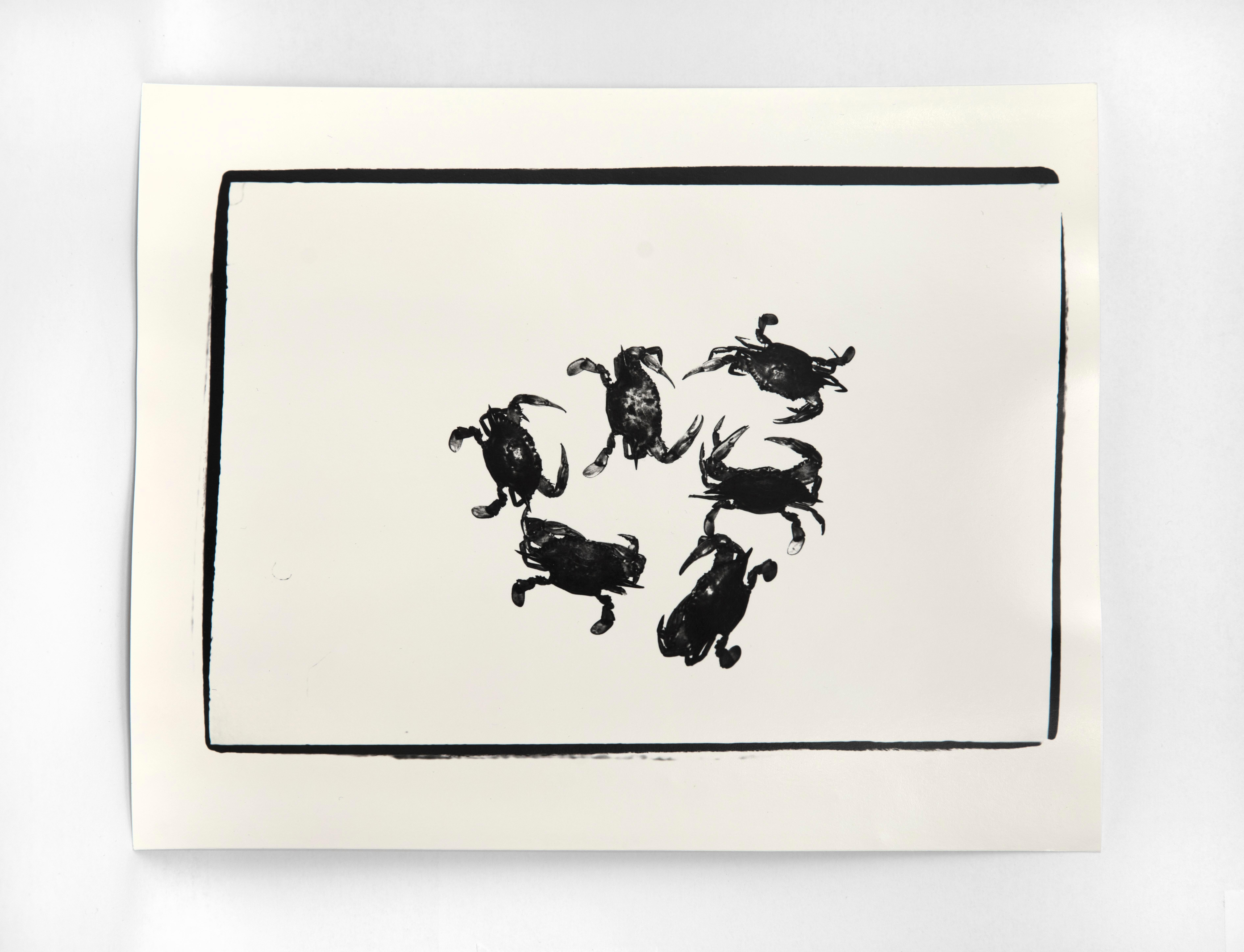 Andy Warhol Black and White Photograph - Crabs