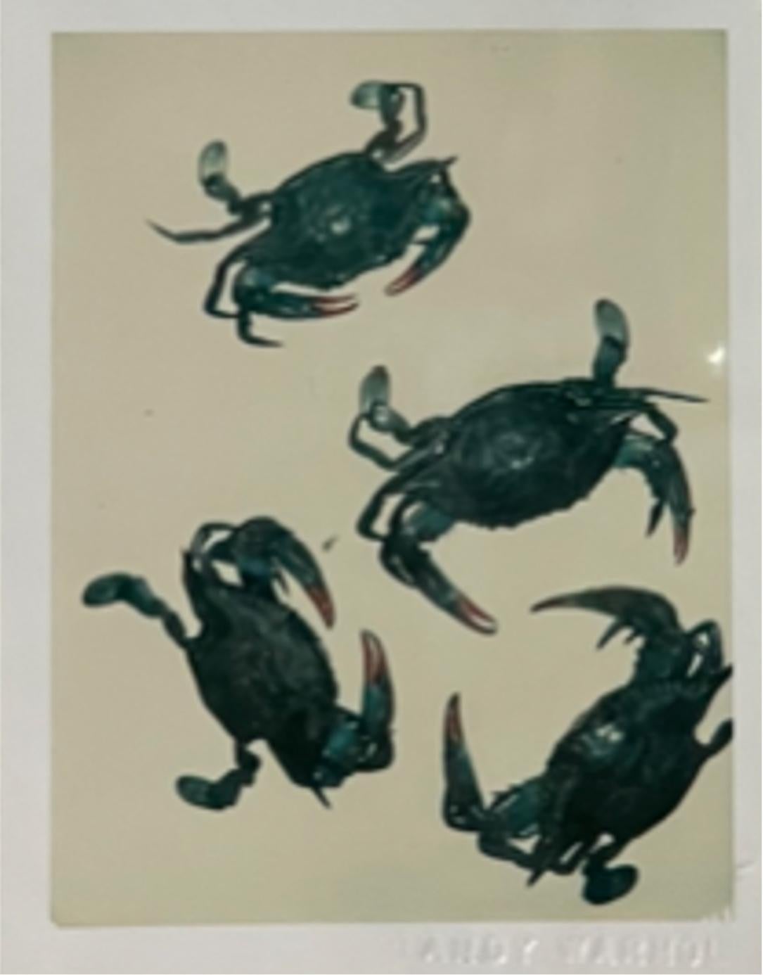 Crabes
