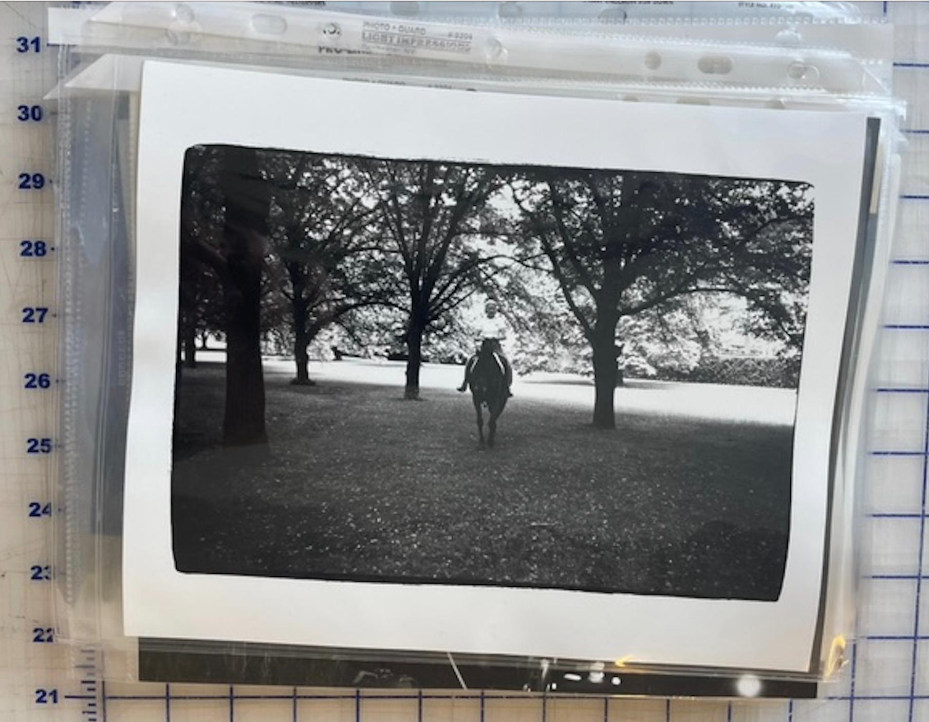 C.Z. Ospite a cavallo - Photograph di Andy Warhol