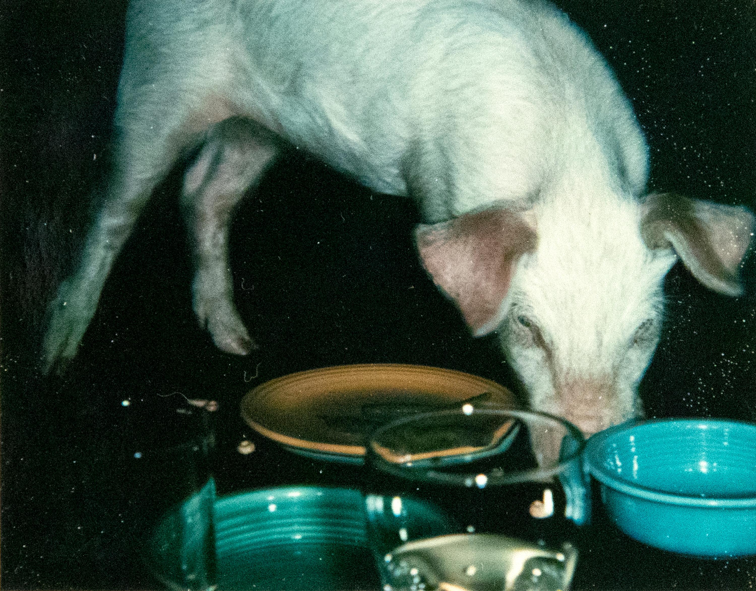 Un ensemble de quatre photographies d'Andy Warhol. 