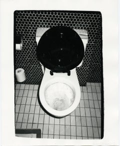 Toilet / Fountain